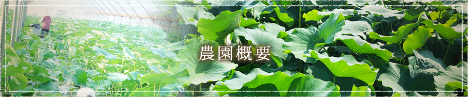 農園概要