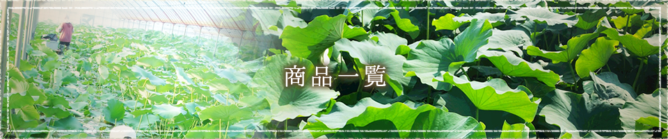 商品一覧