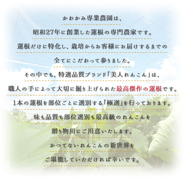 制作実績ピックアップ