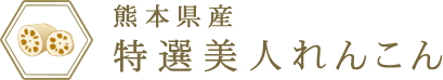 特選厳選高級れんこん