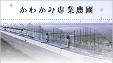 かわかみ専業農園